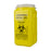 Sharps Disposal - Container